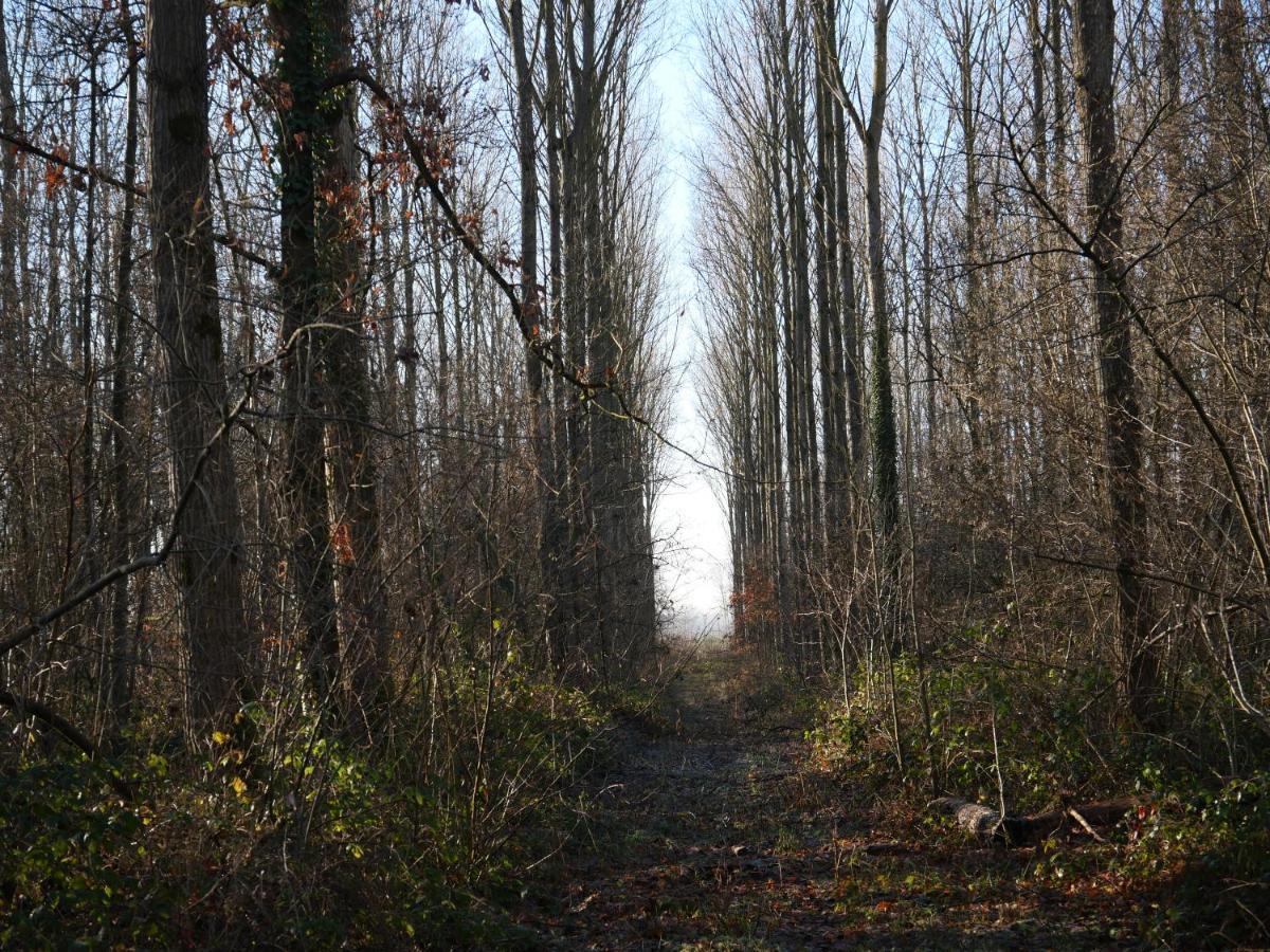 La Cabane Du Chasseur Flines-Les-Mortagne Zewnętrze zdjęcie