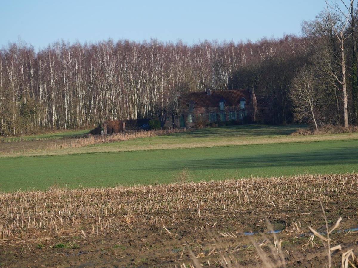 La Cabane Du Chasseur Flines-Les-Mortagne Zewnętrze zdjęcie