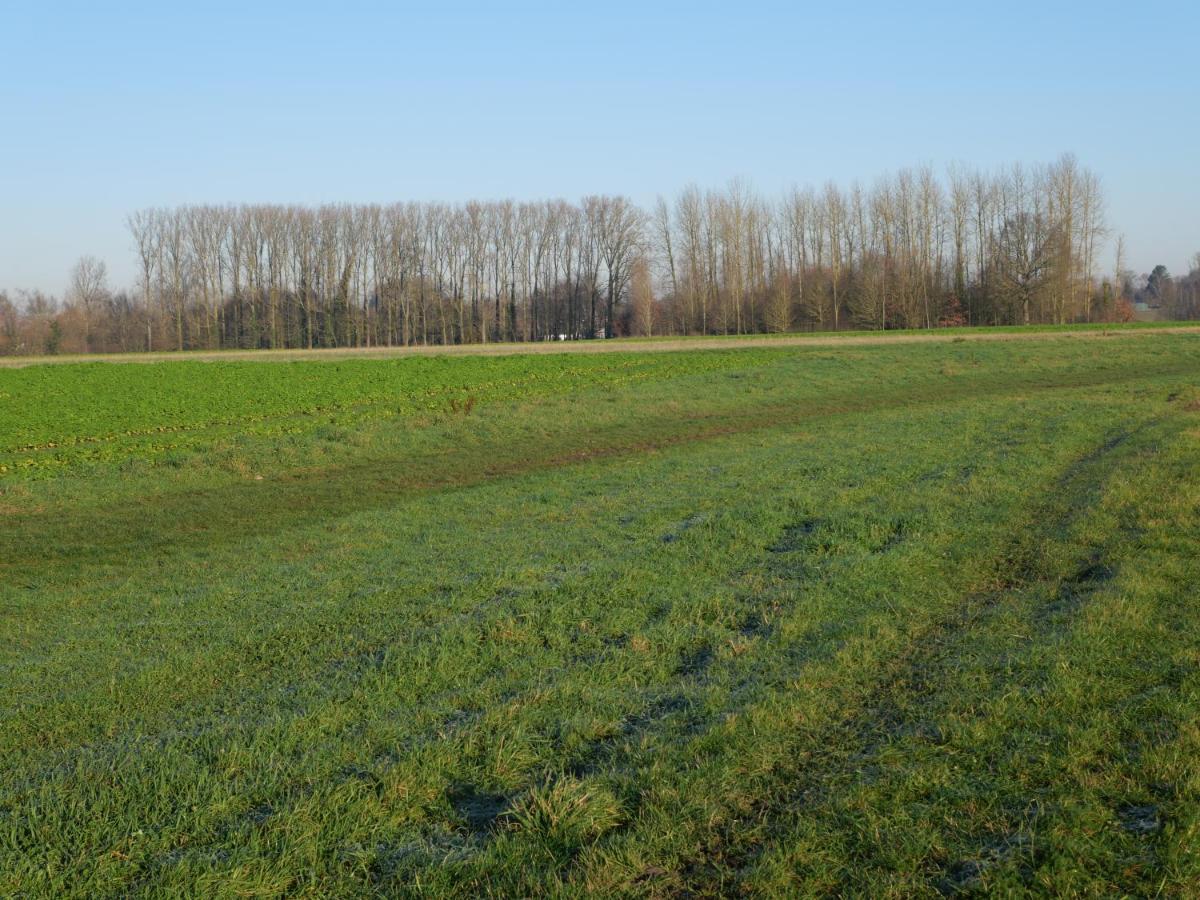 La Cabane Du Chasseur Flines-Les-Mortagne Zewnętrze zdjęcie