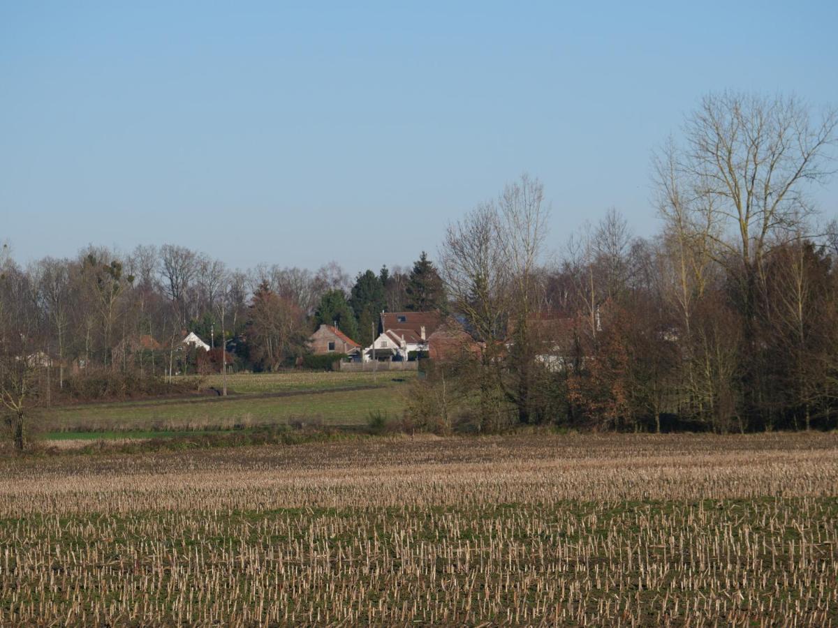 La Cabane Du Chasseur Flines-Les-Mortagne Zewnętrze zdjęcie